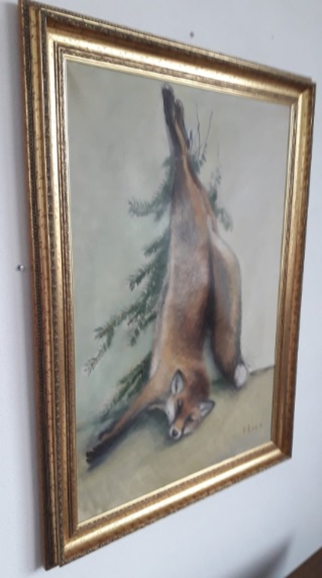 Foto k článku Liška