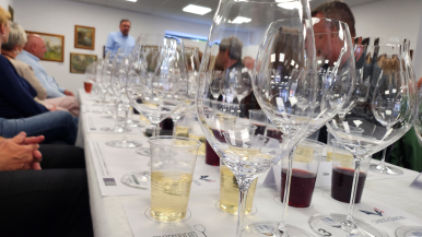 Foto k článku Riedel Glass Tasting