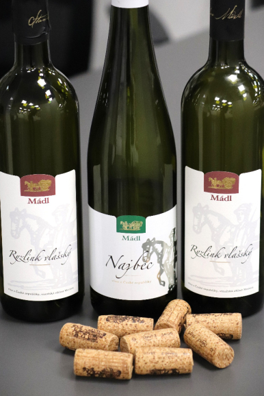 Foto k článku Víno mezi obrazy - Staňo Mádl