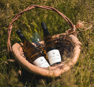 Foto k článku Rodinné vinařství Maňák