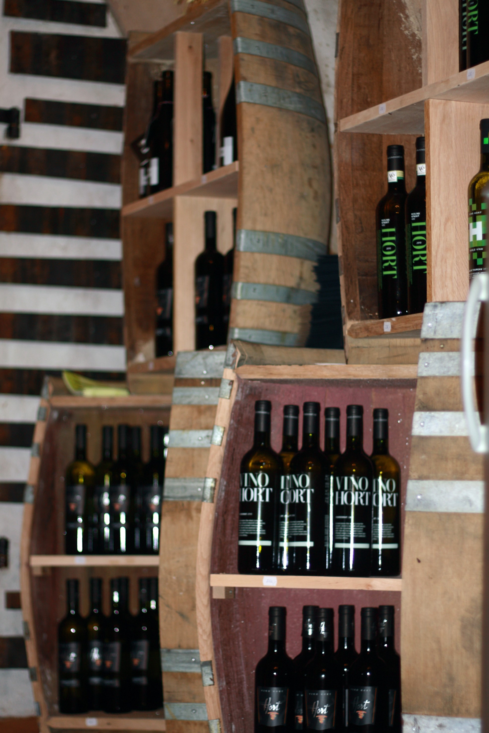 Foto k článku Víno mezi obrazy - vinařství HORT,  pátek 14.11.