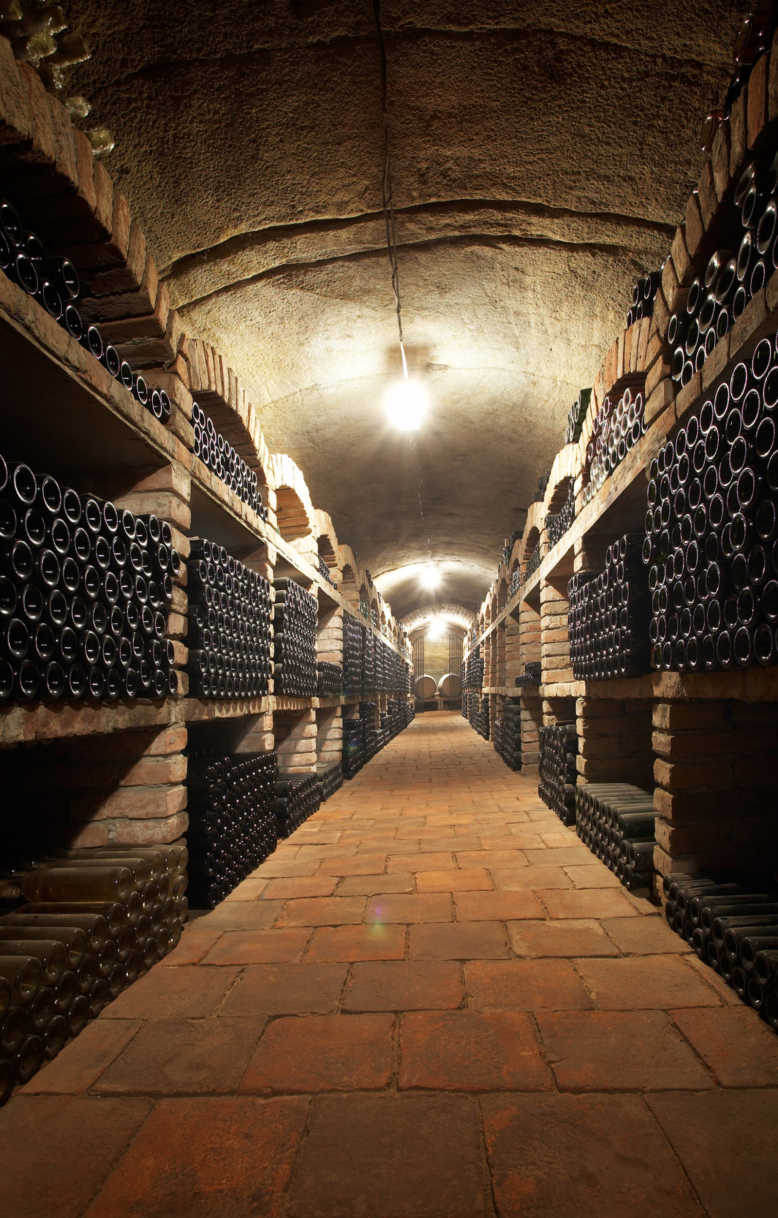 Foto k článku Víno mezi obrazy - vinařství HORT,  pátek 14.11.