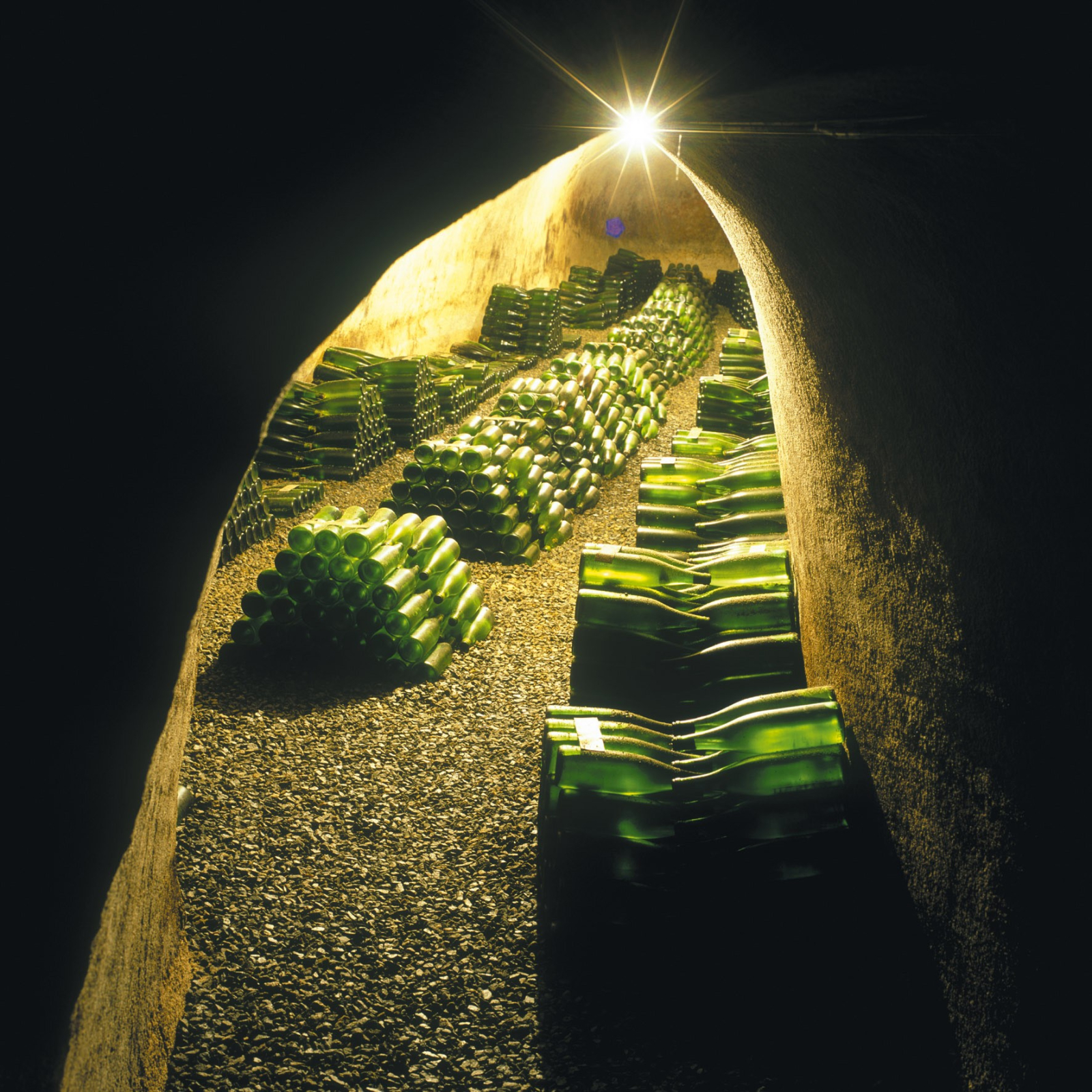 Foto k článku Víno mezi obrazy - vinařství HORT,  pátek 14.11.