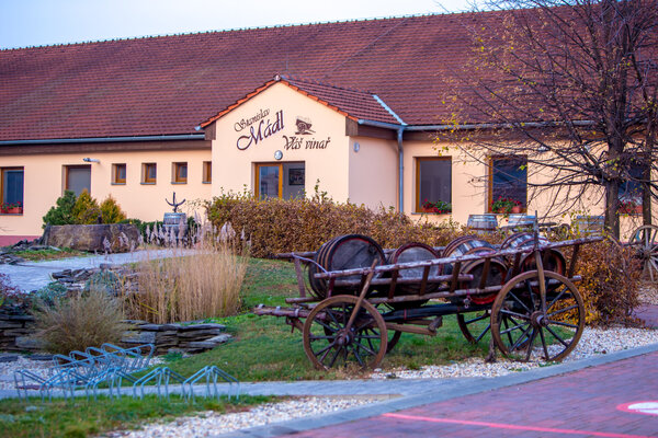 Foto k článku Víno mezi obrazy - Staňo Mádl, 5.12.
