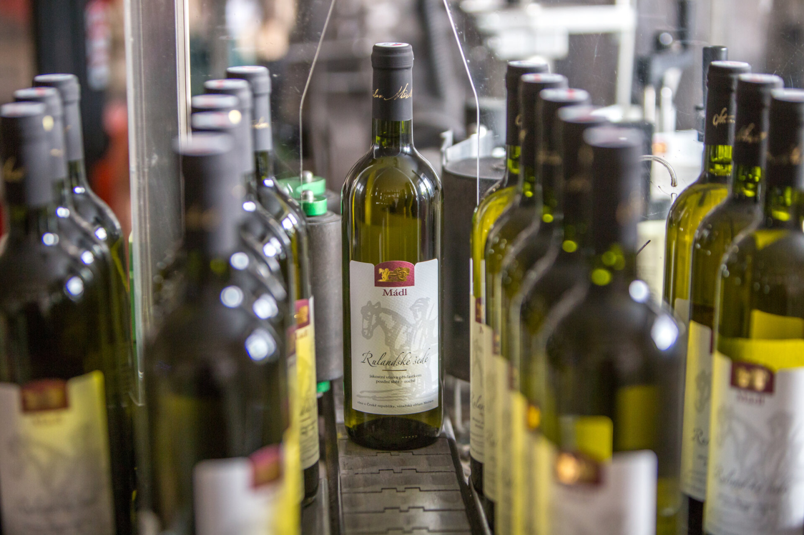 Foto k článku Víno mezi obrazy - Staňo Mádl, 5.12.