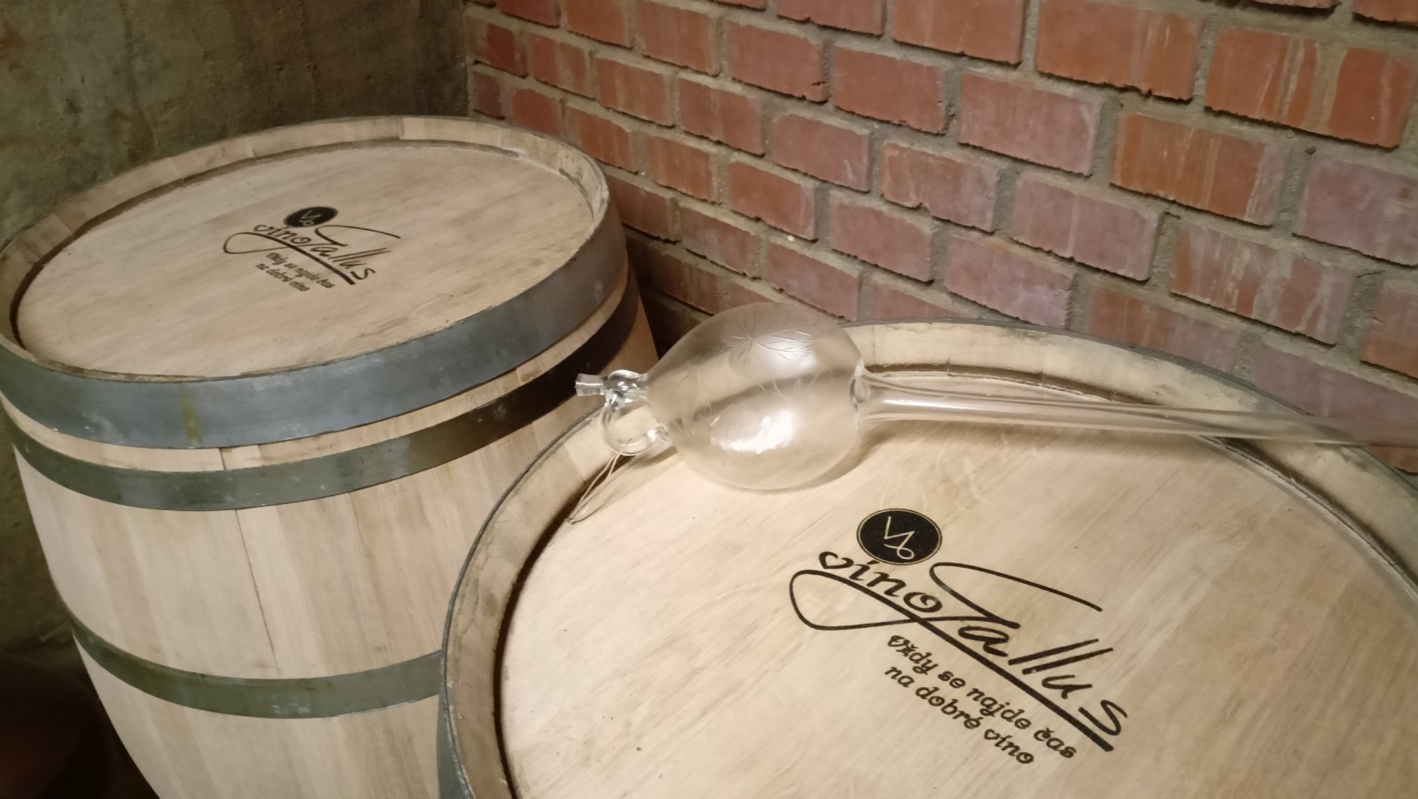 Foto k článku Víno Gallus